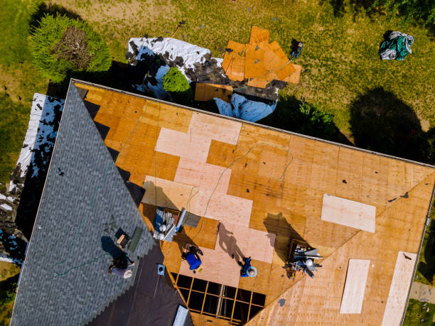 Best Residential Roofing Contractor  in Forest, OH
